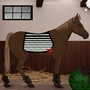 Joue � Pr�pare ton cheval