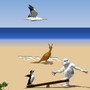 Le yéti et les pingouins en Australie